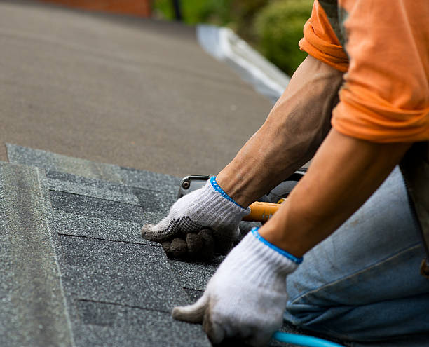 Best Storm Damage Roof Repair  in Westport, IN